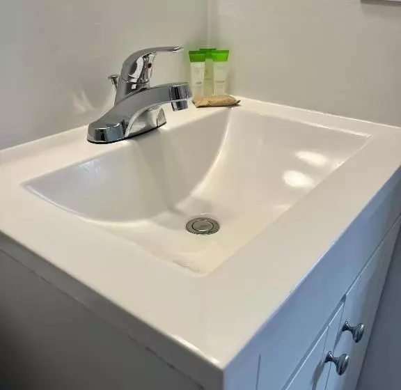سوئیت با تخت بزرگ, Anavada Inn & Suites  Prince George