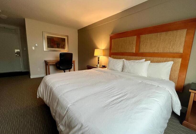 מיטת קינג בסוויטה, Anavada Inn & Suites  Prince George