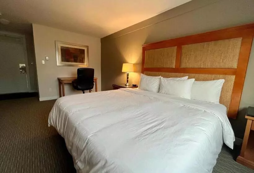سوئیت با تخت بزرگ, Anavada Inn & Suites  Prince George