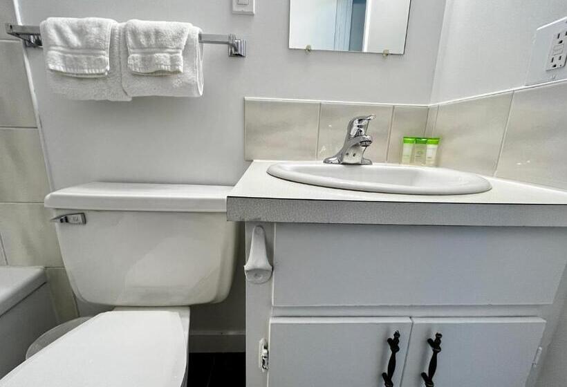 سوئیت با تخت بزرگ, Anavada Inn & Suites  Prince George