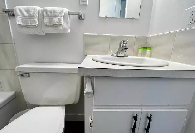 سوئیت با تخت بزرگ, Anavada Inn & Suites  Prince George