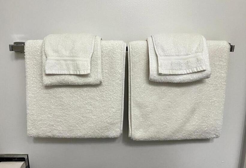 חדר דלוקס עם מיטת קינג, Anavada Inn & Suites  Prince George