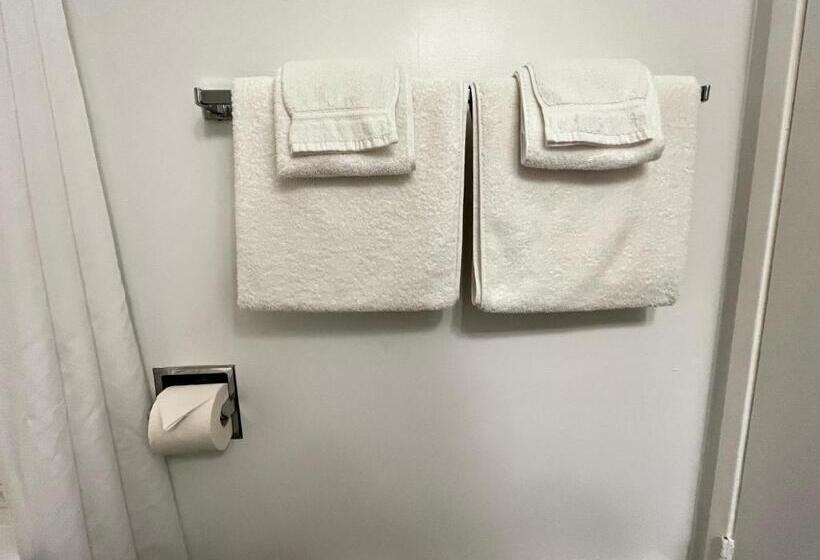 חדר דלוקס עם מיטת קינג, Anavada Inn & Suites  Prince George