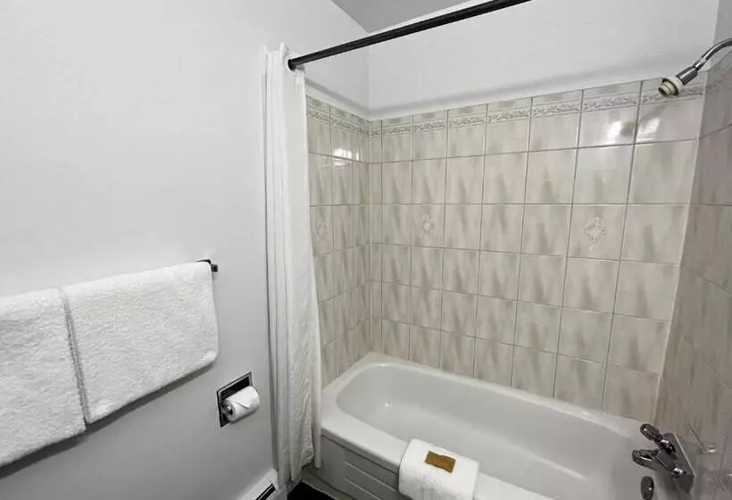 سوئیت با تخت بزرگ, Anavada Inn & Suites  Prince George