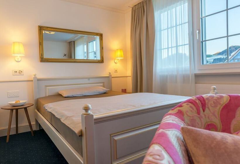 Standart Tek Kişilik Oda, Appenzell