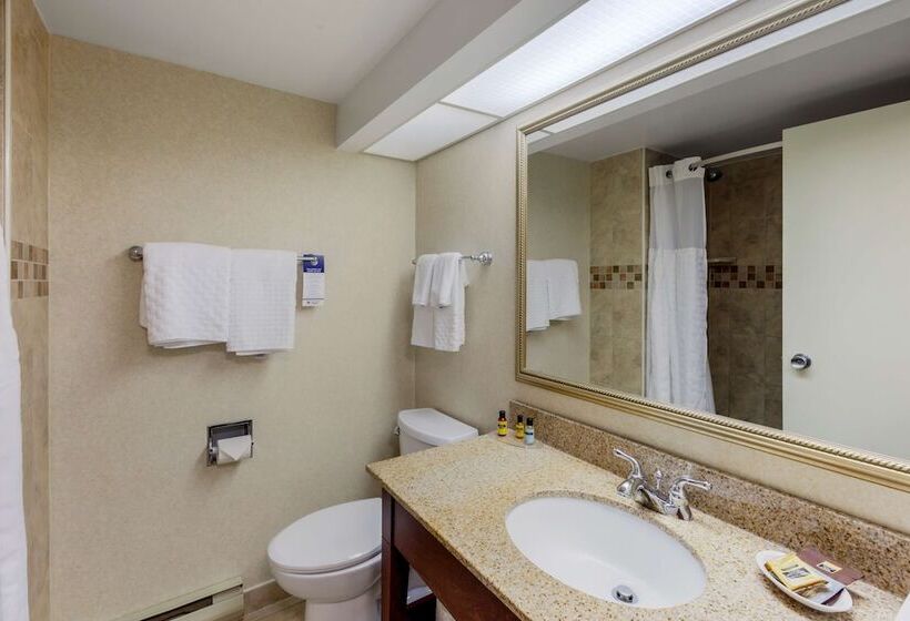스탠다드 룸 더블 침대 2개, Best Western Plus Otonabee Inn