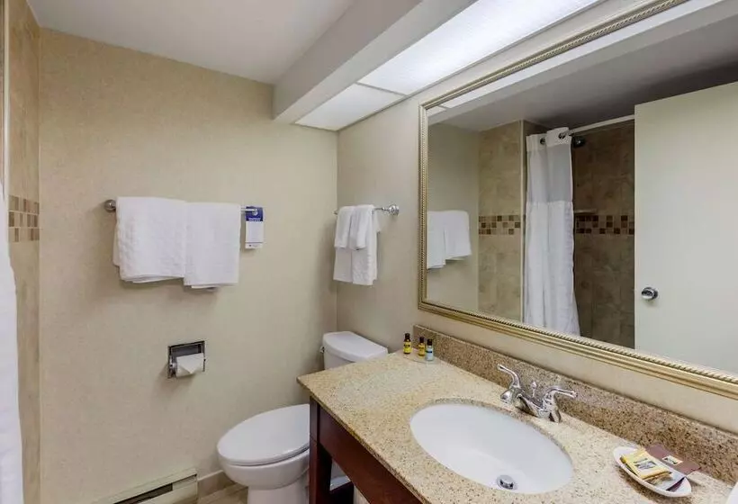 ２ダブルベッドのスタンダードルーム, Best Western Plus Otonabee Inn