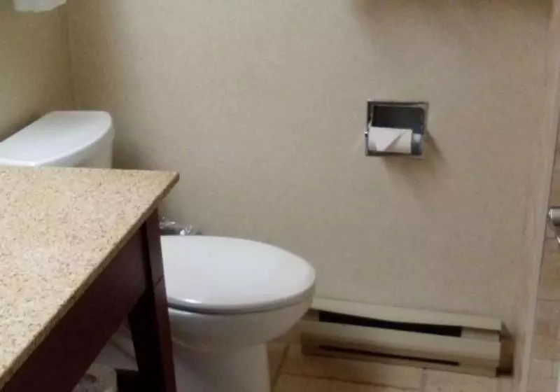 キングサイズベッドのスタンダードルーム, Best Western Plus Otonabee Inn