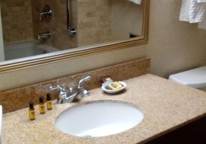 غرفة قياسية سرير كينج, Best Western Plus Otonabee Inn