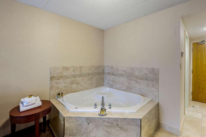 스탠다드 룸 킹사이즈 침대, Best Western Plus Otonabee Inn