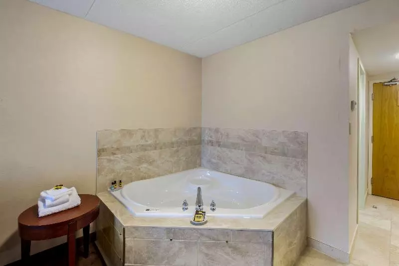 キングサイズベッドのスタンダードルーム, Best Western Plus Otonabee Inn