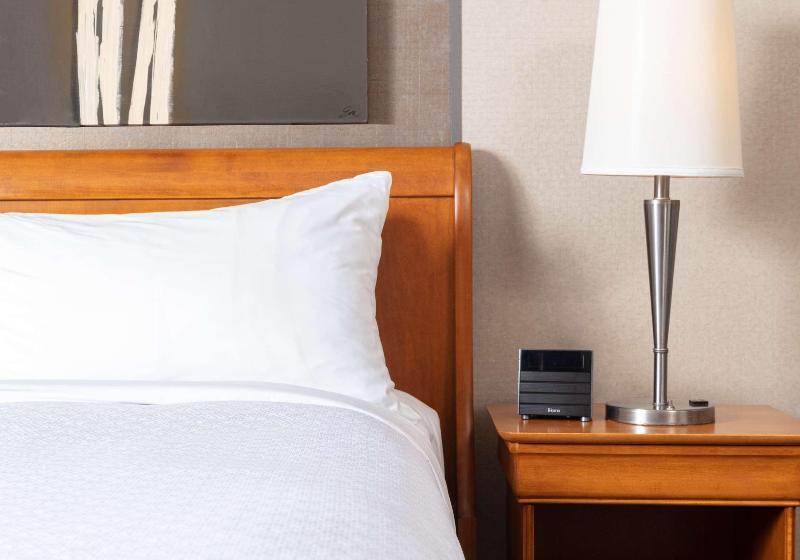 اتاق استاندارد با تخت بزرگ, Best Western Premier Hotel Aristocrate
