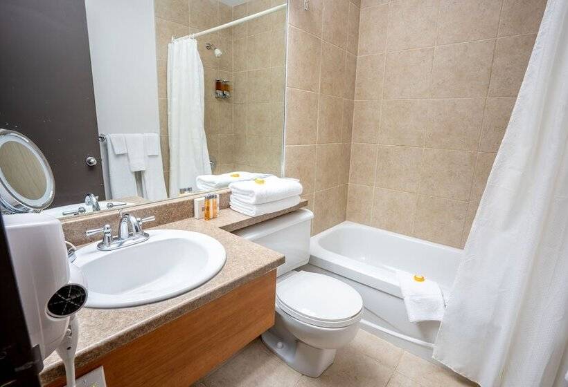 스탠다드 룸, Cheribourg