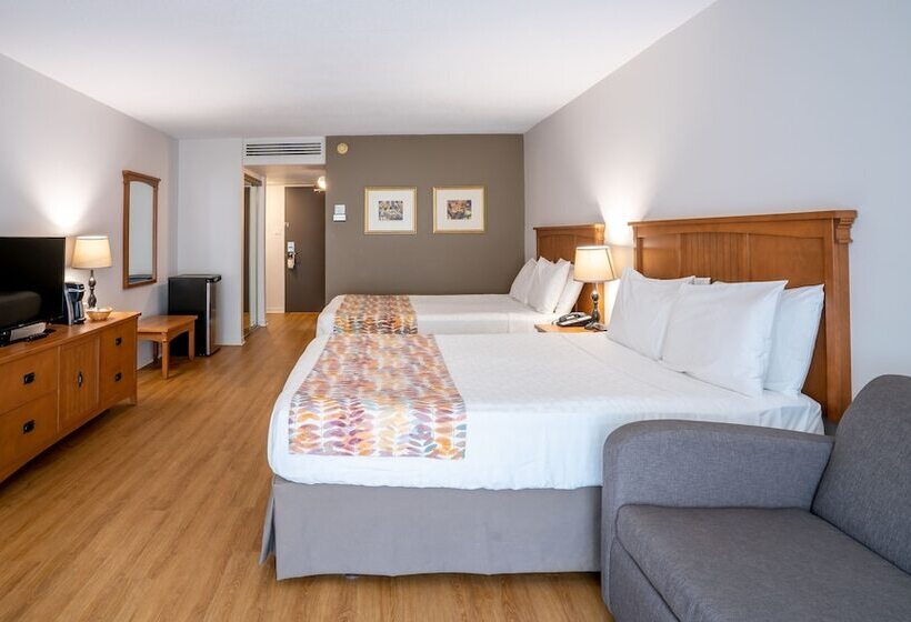 스탠다드 룸, Cheribourg