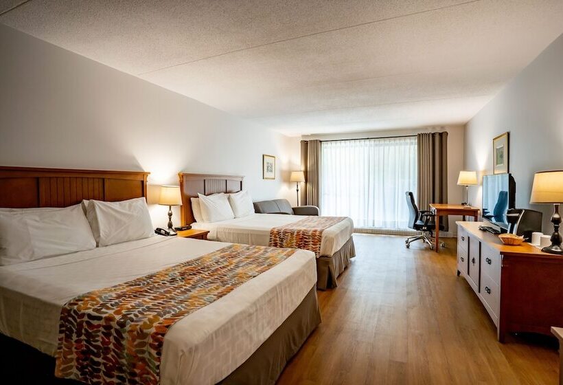 스탠다드 룸, Cheribourg