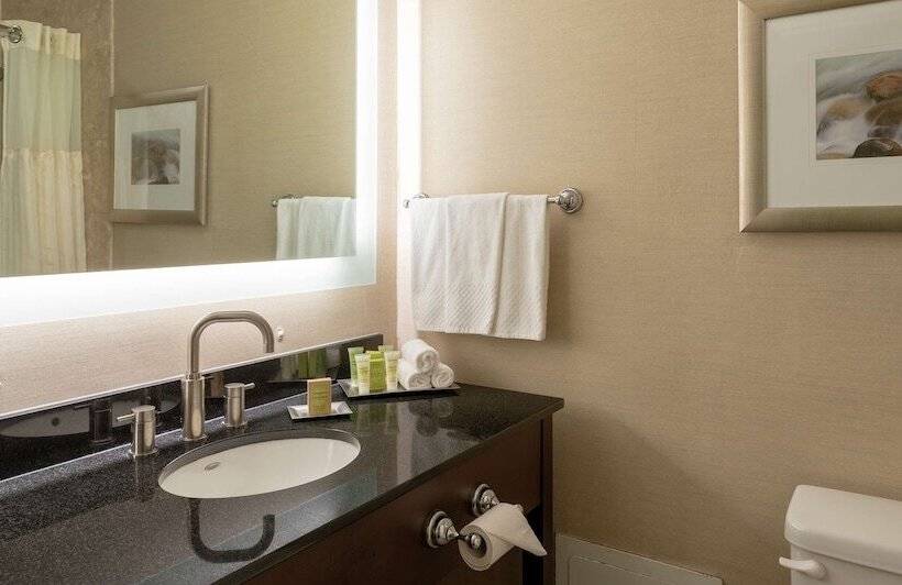 클럽 룸, Hilton Saint John