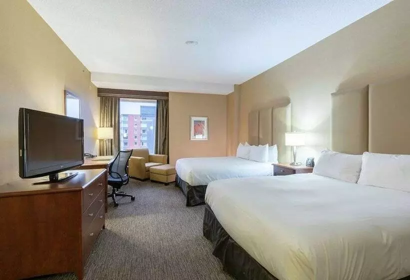 ２ダブルベッドのスタンダードルーム, Hilton Saint John