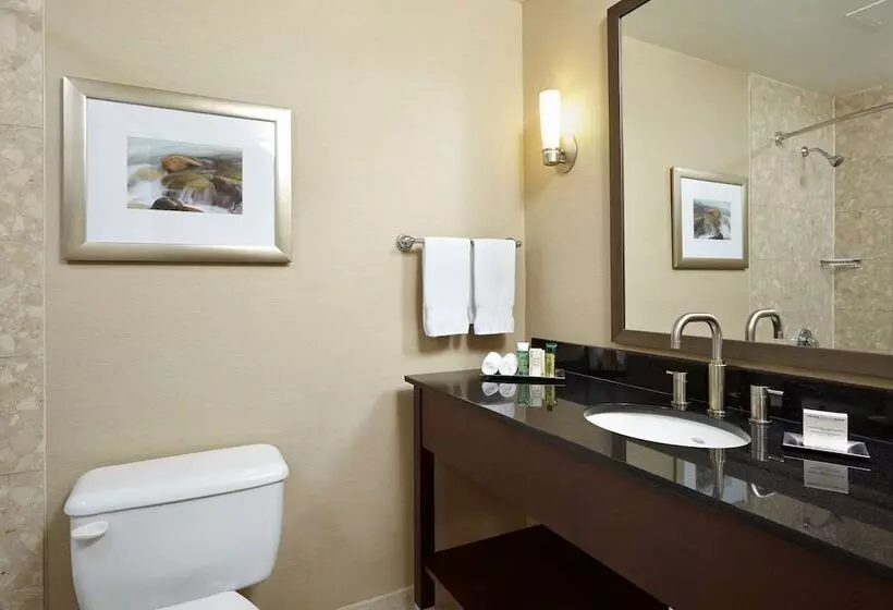 シングルデラックスルーム, Hilton Saint John