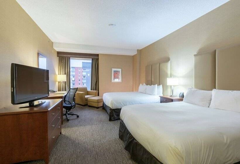 스탠다드 전망 룸, Hilton Saint John