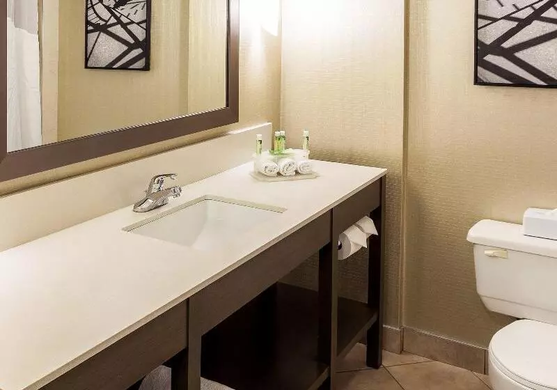 キングサイズベッドのスタンダードルーム, Holiday Inn Express Vancouvermetrotown