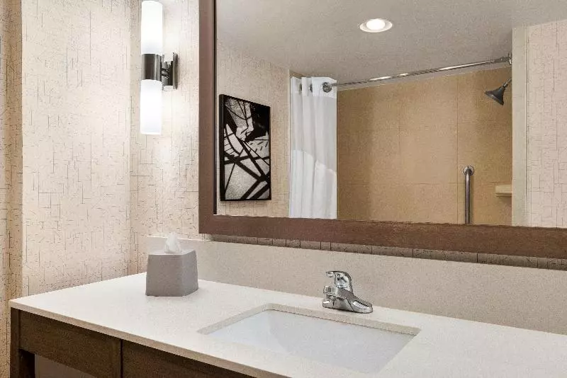 キングサイズベッドのエクゼクティブルーム, Holiday Inn Express Vancouvermetrotown