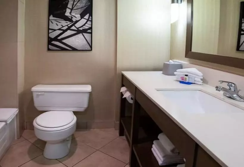 ２ダブルベッドのスタンダードルーム, Holiday Inn Express Vancouvermetrotown