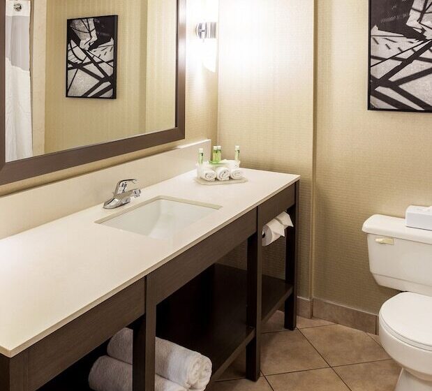 스탠다드 룸 더블 침대 2개, Holiday Inn Express Vancouvermetrotown