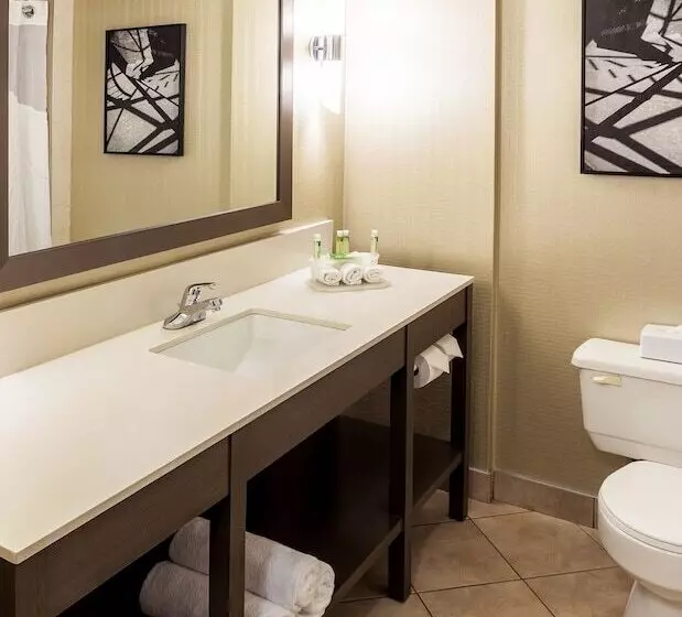 ２ダブルベッドのスタンダードルーム, Holiday Inn Express Vancouvermetrotown
