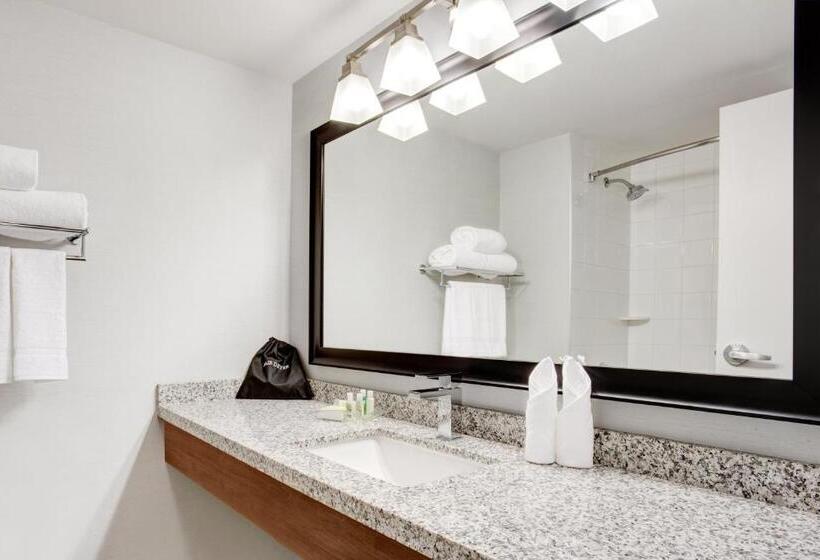 带大床的标准间, Holiday Inn Ottawa East, An Ihg