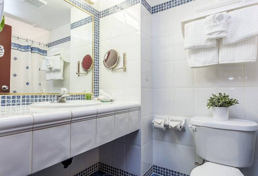 חדר סטנדרט, Le Nouvel