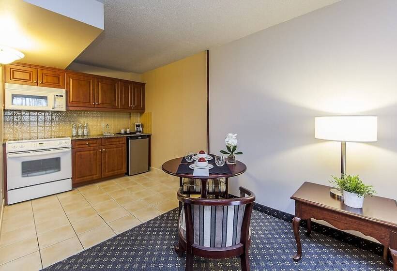 חדר סטנדרט, Le Nouvel