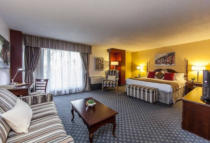 חדר סטנדרט, Le Nouvel