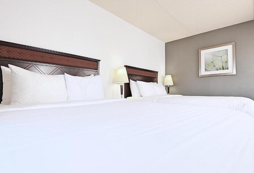 חדר סטנדרט, Lelux