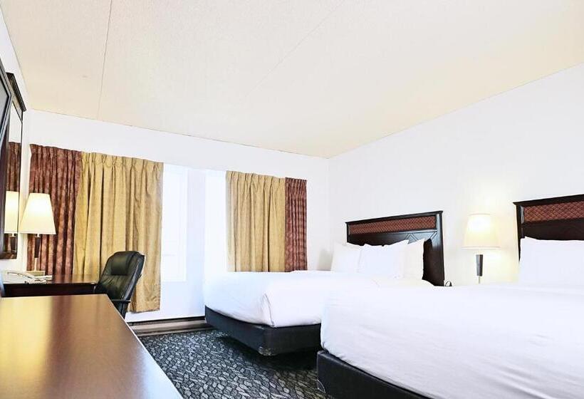 חדר סטנדרט, Lelux