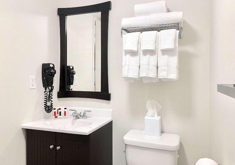 غرفة قياسية سرير كينج, Quality Inn & Conference Centre Kingston Central