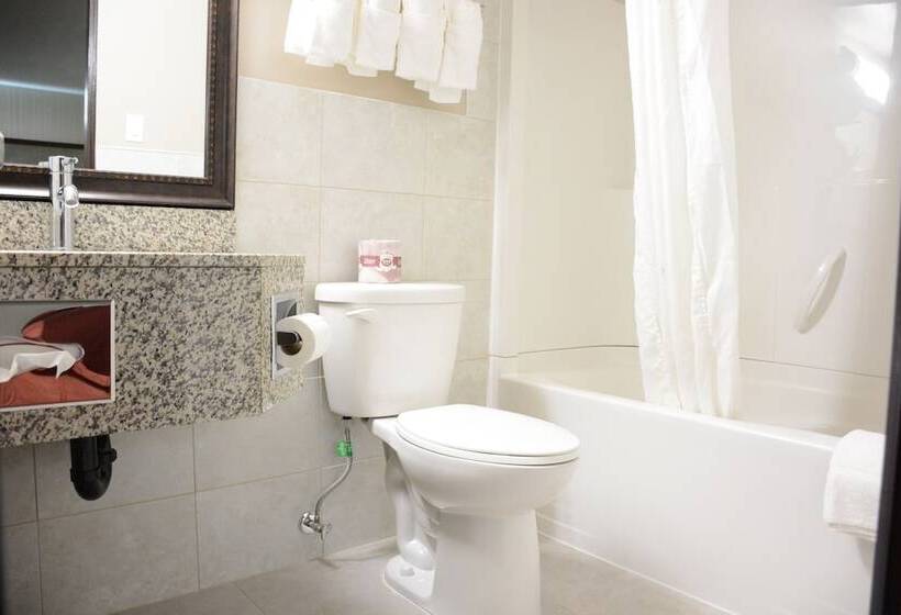 חדר סטנדרט, Travelodge By Wyndham Lethbridge