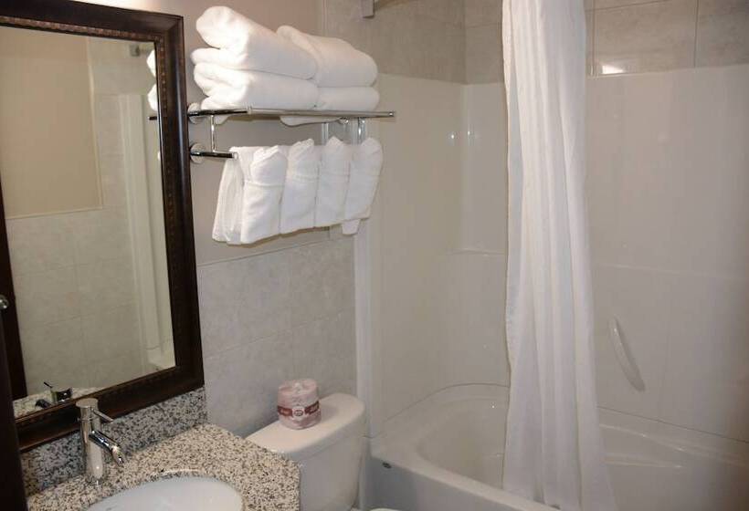 חדר סטנדרט, Travelodge By Wyndham Lethbridge