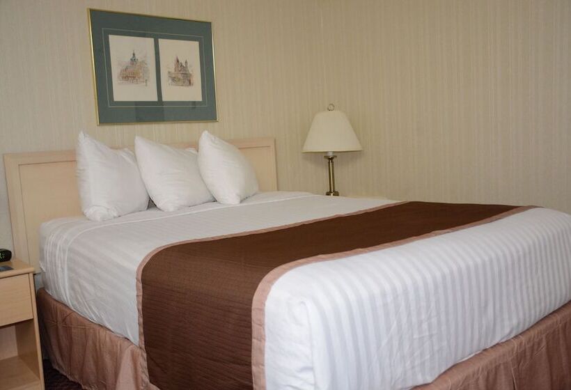 חדר סטנדרט, Travelodge By Wyndham Lethbridge