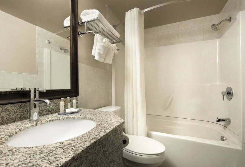 סוויטה, Travelodge By Wyndham Lethbridge