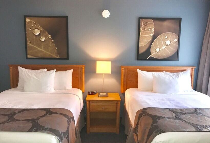 스탠다드 룸 더블 침대 2개, Quality Inn Rouynnoranda