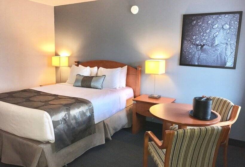 ２ダブルベッドのスタンダードルーム, Quality Inn Rouynnoranda