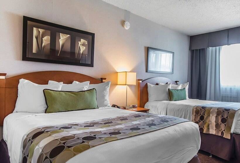 디럭스 룸, Quality Inn Rouynnoranda