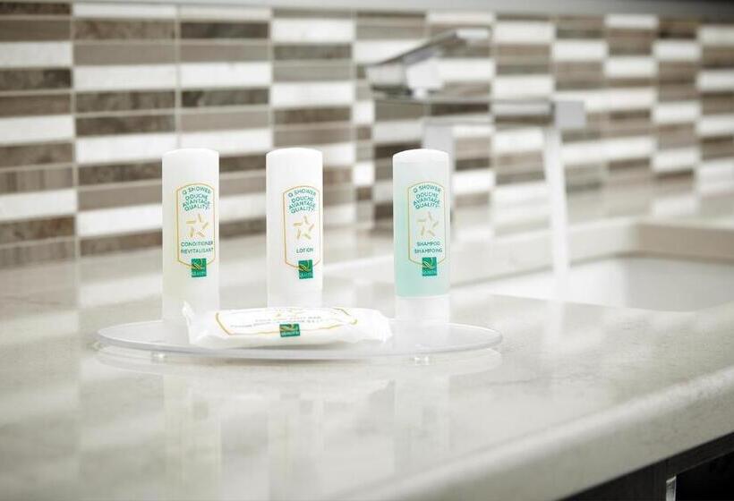 キングサイズベッドのスタンダードルーム, Quality Inn Rouynnoranda