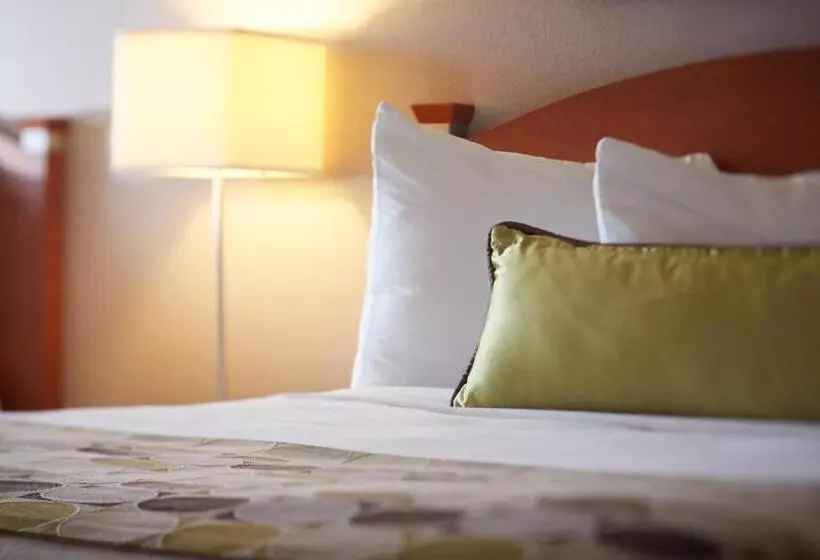 Standard-huone 2 Parivuodetta, Quality Inn Rouynnoranda