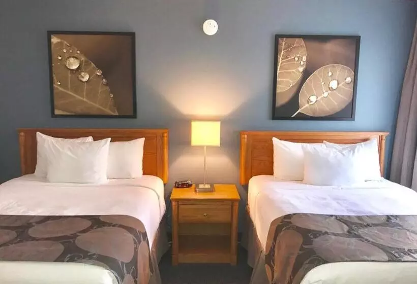 Standard-huone 2 Parivuodetta, Quality Inn Rouynnoranda
