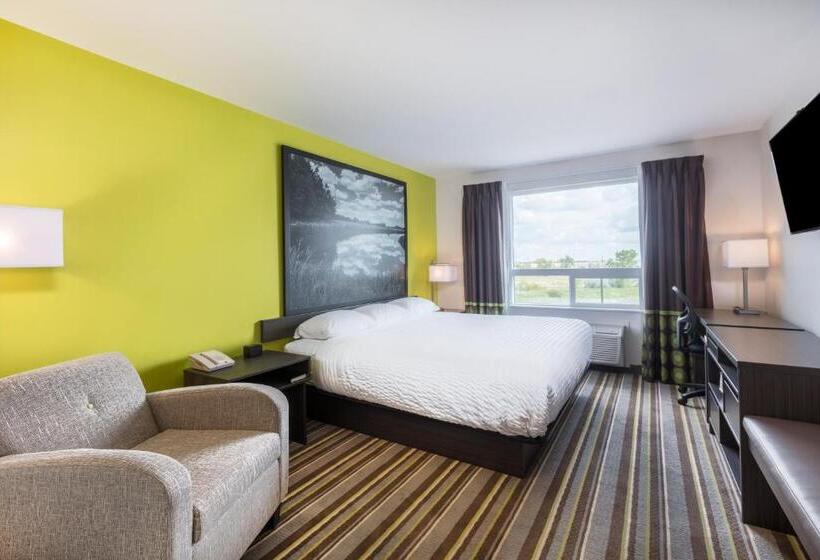 身障者適用キングサイズベッドルーム, Super 8 By Wyndham Winnipeg East Mb