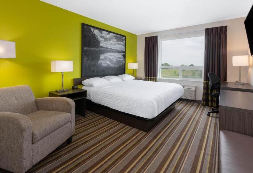キングサイズベッドのスタンダードルーム, Super 8 By Wyndham Winnipeg East Mb
