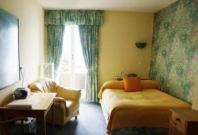 חדר סטנדרד יחיד חדר אמבטיה משותף, Seehotel Bären