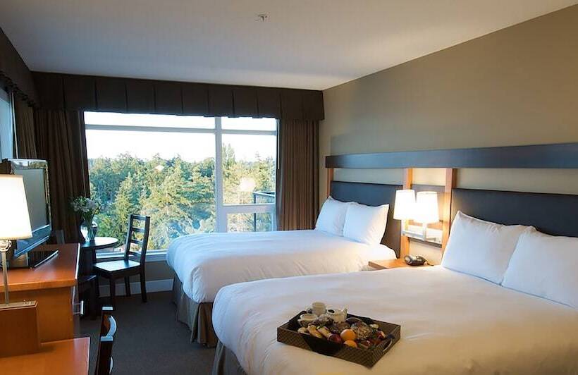 חדר סטודיו סטנדרד, The Beach Club Resort — Bellstar Hotels & Resorts