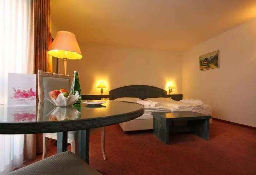 سوییت جونیور با بالکن, Central Sporthotel Davos
